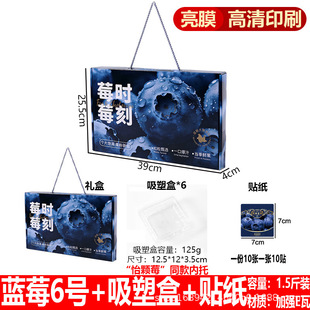 跨境麻江蓝莓包装盒礼盒空盒子高档通用长白山大兴安岭蓝莓礼热销