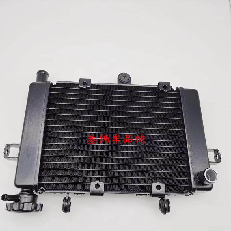 适用隆鑫VOGE无极LX250GS-3 250RR散热器冷却水箱散热风扇总成