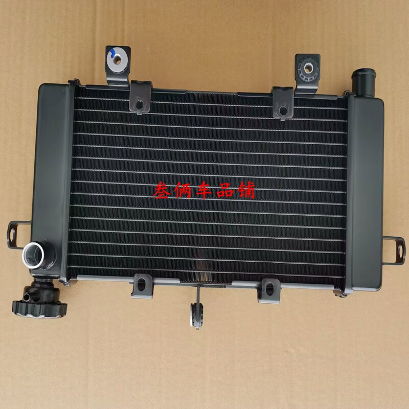适用隆鑫无极500DS LX500-A 摩托车水箱总成 冷却器 风扇散热器