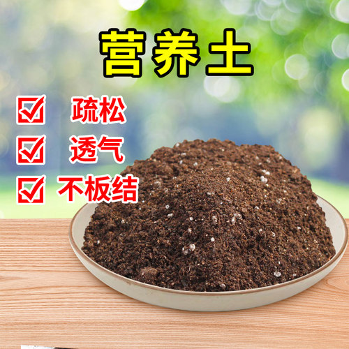 营养土椰砖土大块低盐椰砖