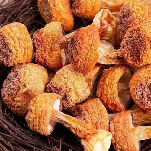 精选无硫云南姬松茸100g干货食用姬松菇蘑菇菌菇巴西菇农家特产