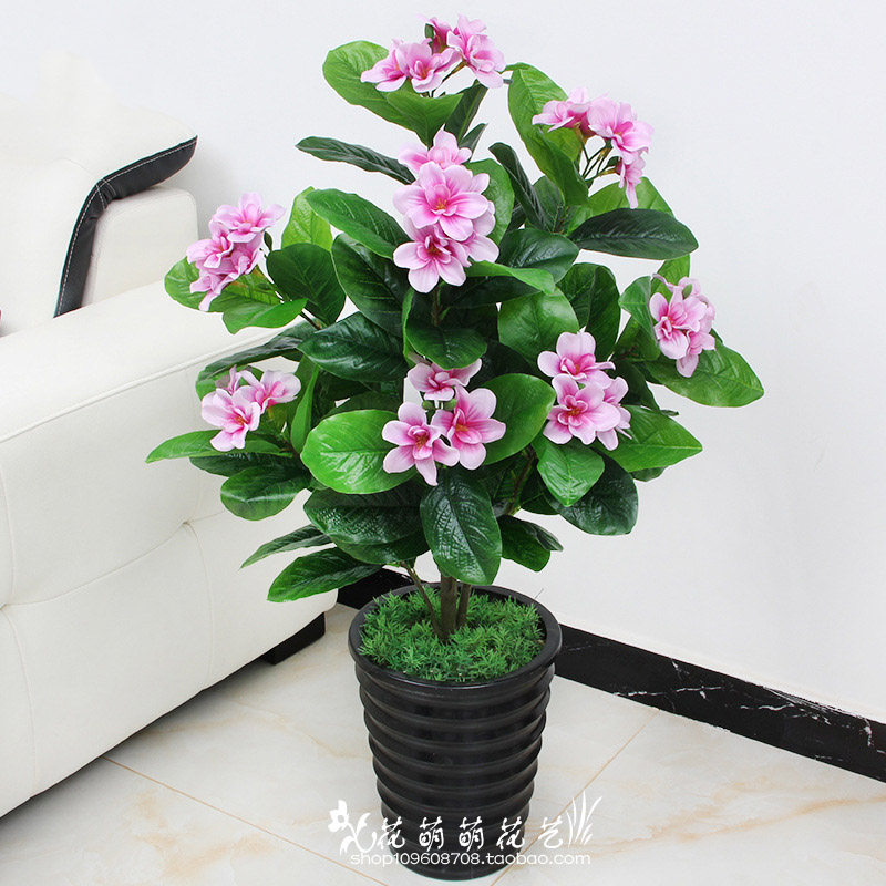 室内兰花仿真植物特价