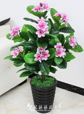室内兰花仿真植物特价