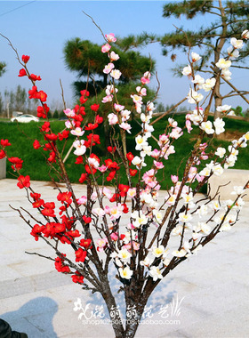 仿真居家干花客厅落地腊梅枝