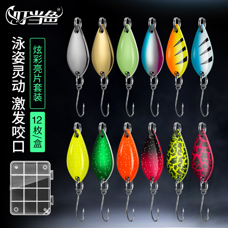 叮当鱼马口亮片泳姿灵动