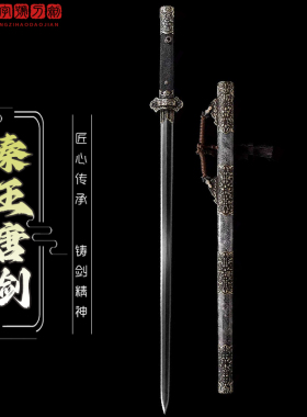 龙泉市秦王唐剑羽毛纹