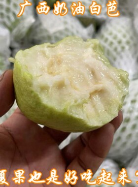 EMS空运正宗广西玉林白心奶油芭乐果软糯应季番石榴5/9斤整箱包邮