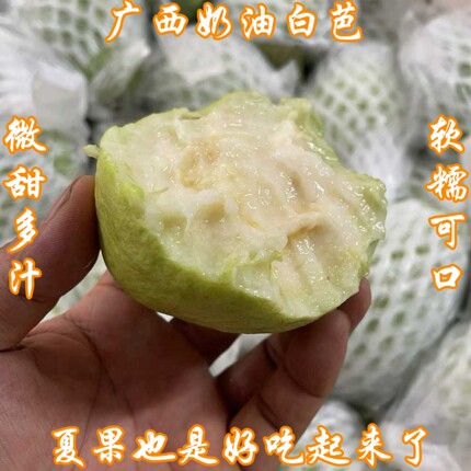 顺丰EMS正宗广西玉林白心奶油芭乐果软糯应季番石榴5/9斤整箱包邮