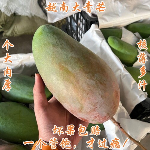 正宗进口一级越南大青芒特大青皮芒果水果核薄肉厚净重5斤9斤整箱