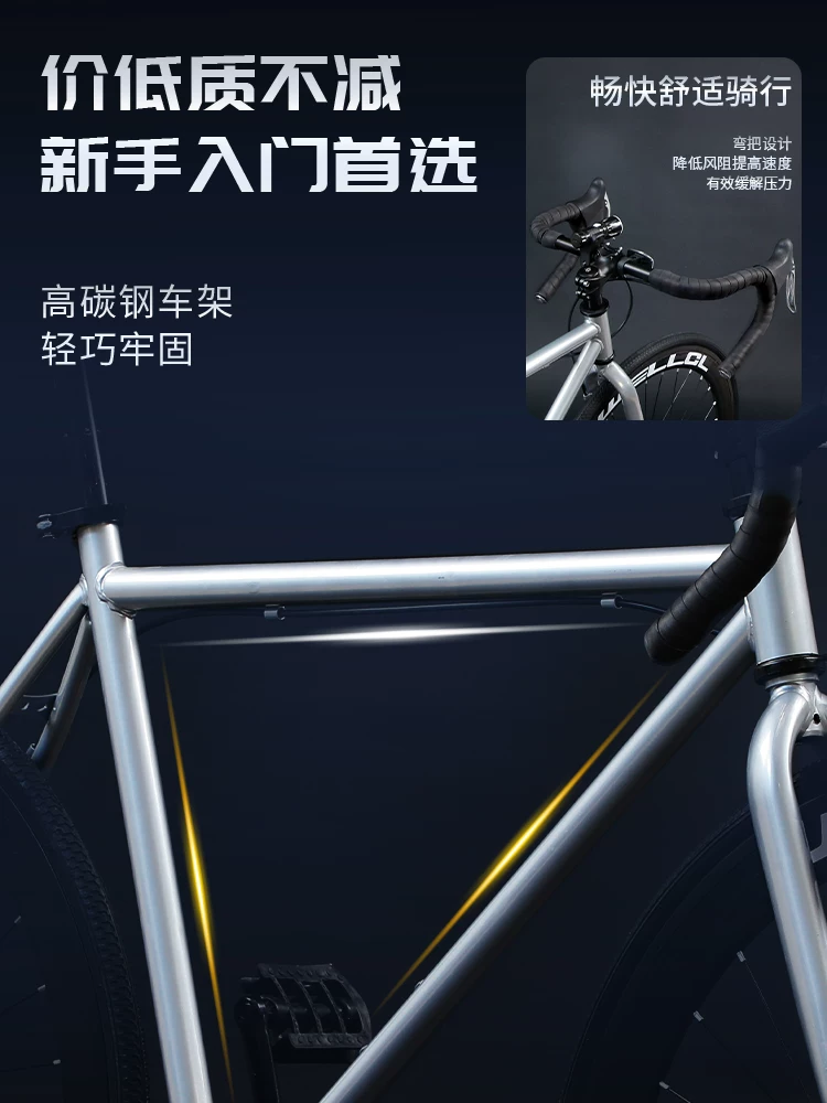 Road road bike, Olympic steering wheel disc brake gearboxed for men and women for adults