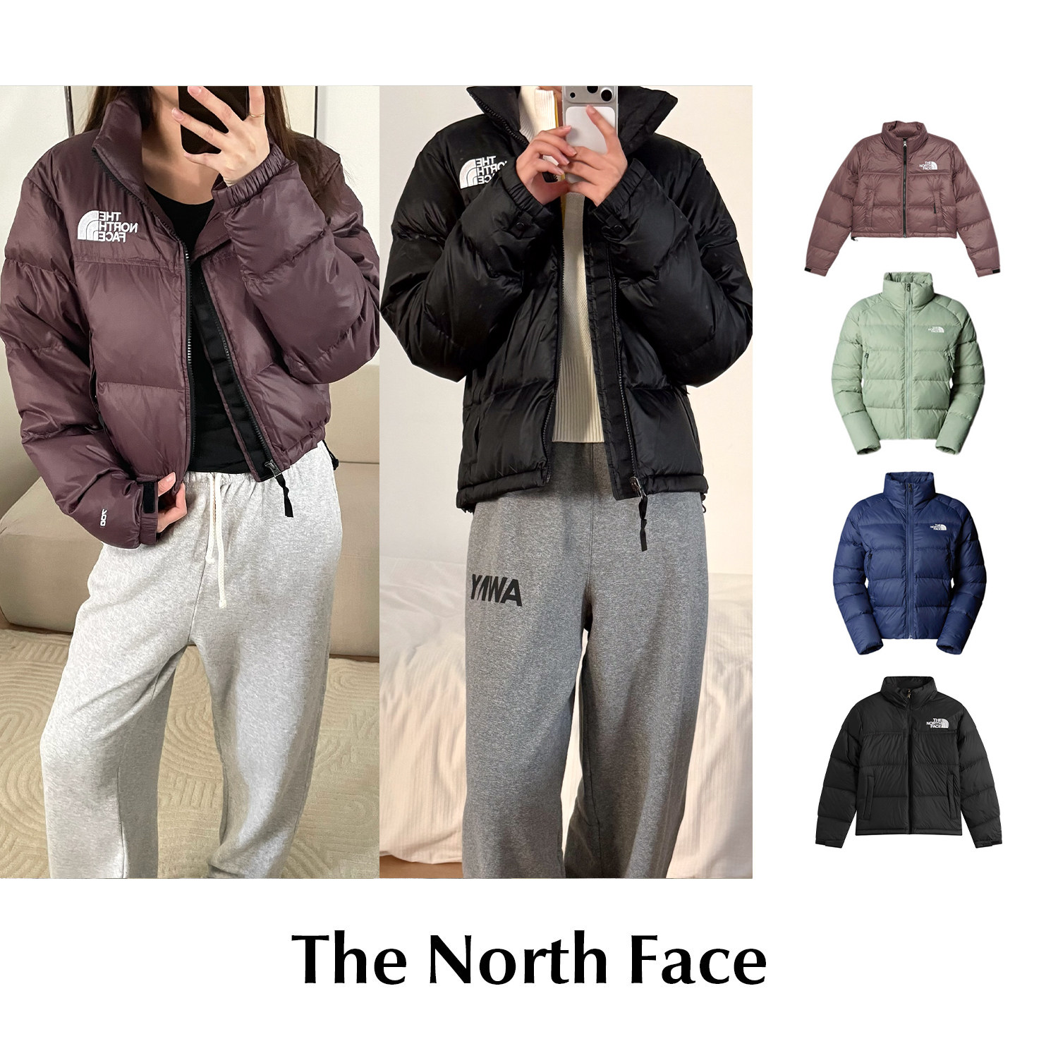 CETTCE 现货 The North Face 北面徽标刺绣短款立领保暖羽绒服图片