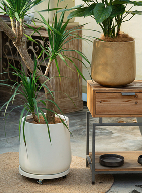 奶油风圆形酒杯花盆镁泥家用花盆阳台庭院百合竹绿植盆栽白色黑色