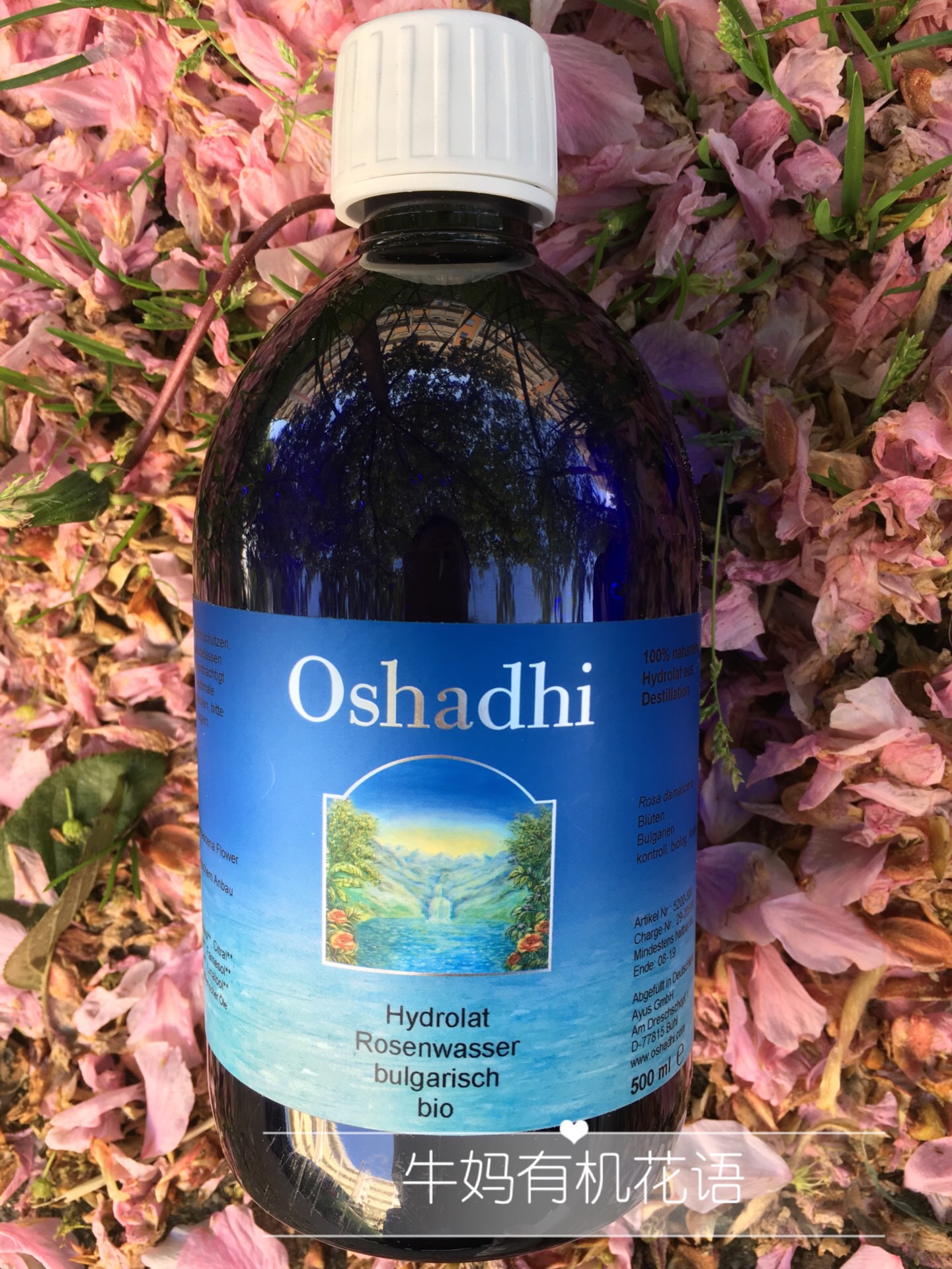 现货德国原版O家保加利亚玫瑰纯露500ml 亮白补水Oshadhi有机植物