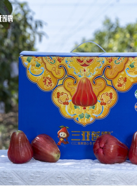 三亚南鹿一号有机莲雾微笑果3斤装7~18枚新鲜水果无售后顺丰空运