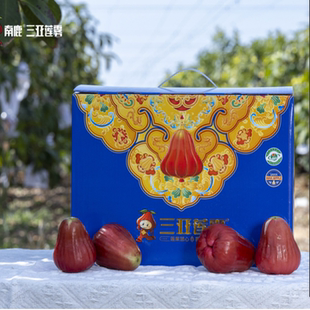 三亚南鹿一号有机莲雾微笑果3斤装7~18枚新鲜水果无售后顺丰包邮