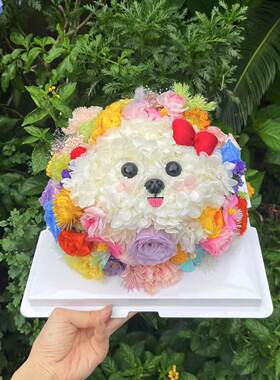 宠物蛋糕永生花定制不凋谢的鲜花