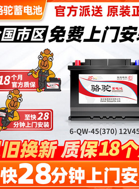 骆驼55ah蓄电池老款福克斯