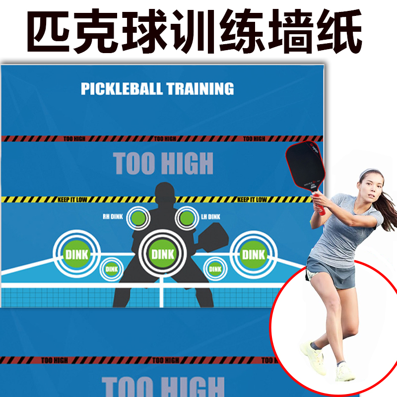 匹克球丁克球训练专用墙纸板贴纸