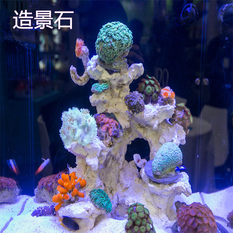P石 法国进口培菌造景石 生态死石人造石活石 鱼缸造型石一石