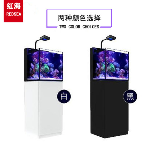 以色列红海鱼缸珊瑚礁岩背虑全套