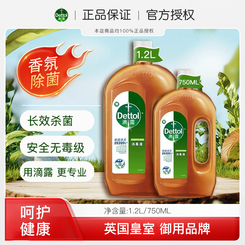 滴露消毒液家用洗衣消毒水