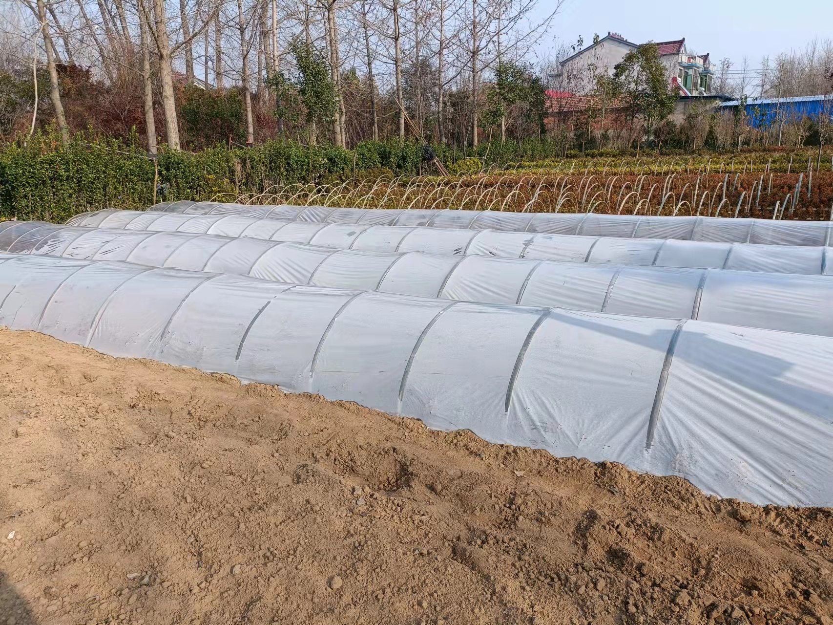 透明塑料薄膜农用小拱棚膜大棚二模种菜育苗加厚保温保湿防冻