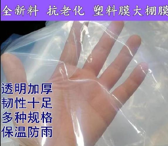 塑料布家用遮盖保温墙壁无味封膜养鱼池游泳池加厚桌布半透明防渗