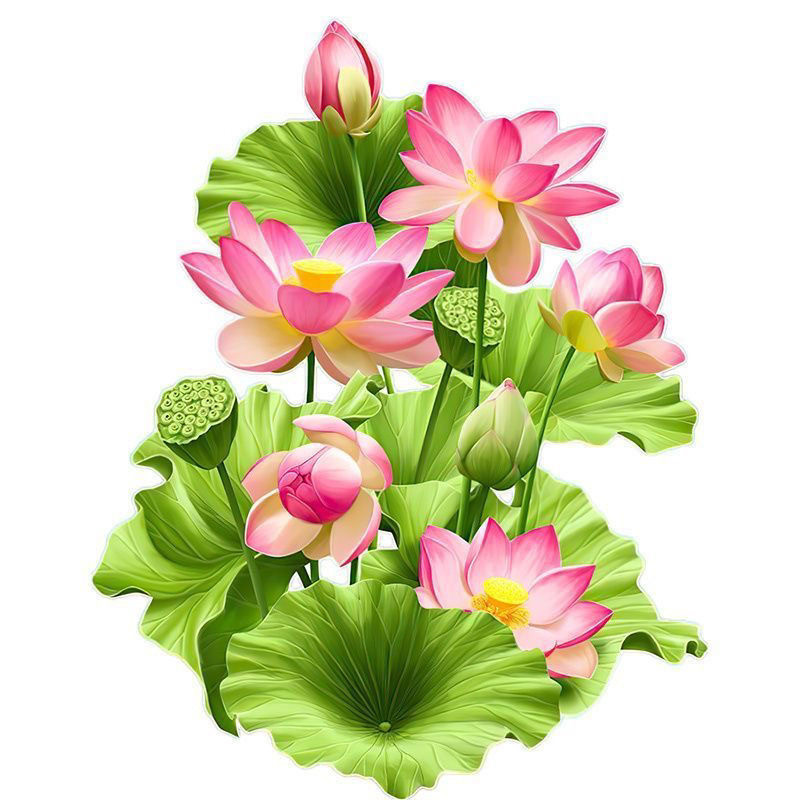 精美的立体荷花优雅的花朵装饰墙面贴纸用于家庭装饰厕所贴纸冰箱,家居饰品,软装墙贴,淘宝优惠券,粉丝福利购,淘宝优惠卷