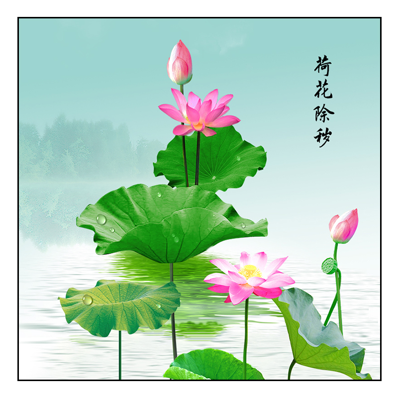 荷花鲤鱼图九鱼聚财装饰贴画卫生间专用荷花除秽自粘墙贴壁画防水图片
