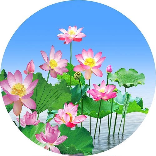 圆形荷花图流水生财蓝天白云荷花池莲花红太阳风水画客厅装饰贴画