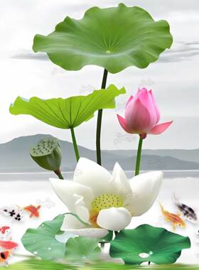 荷花图卫生间贴画莲花画装饰厕所