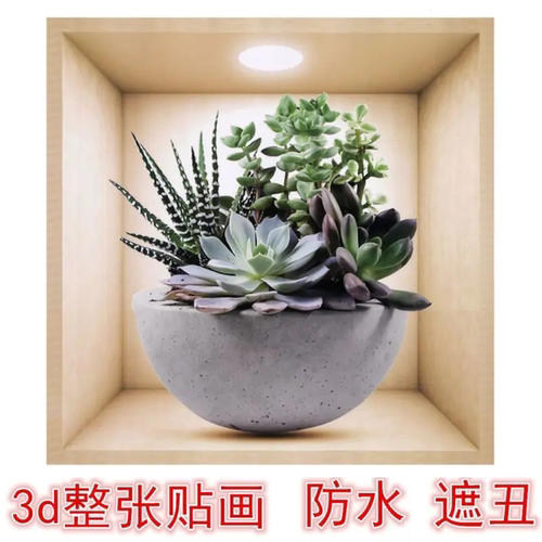 真3d立体多肉绿植贴画卧室门贴房门自粘玻璃贴纸浴室墙壁补丁贴