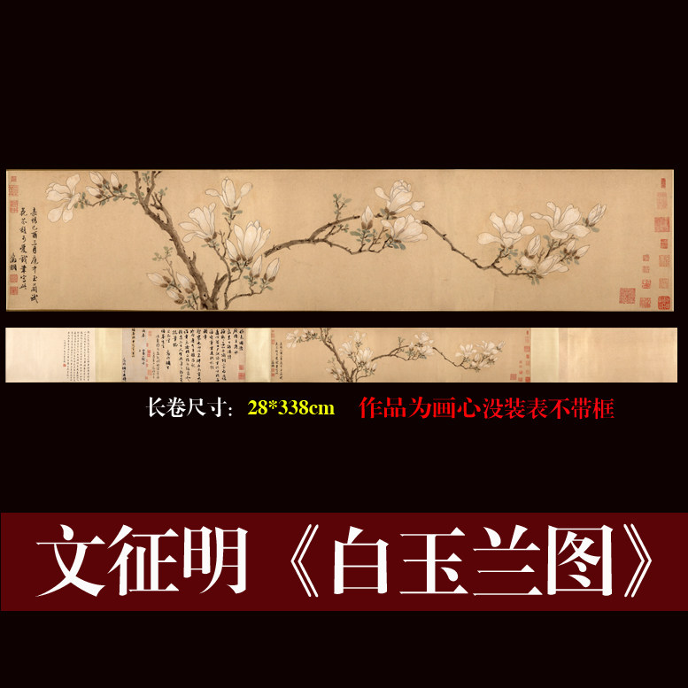 文征明白玉兰图古代横幅长卷花鸟画明代复古字画微喷宣纸成品画心