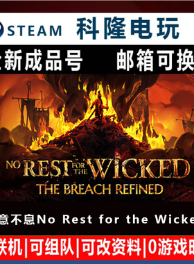 Steam国区游戏 恶意不息 No Rest for the Wicked 多人全新成品号