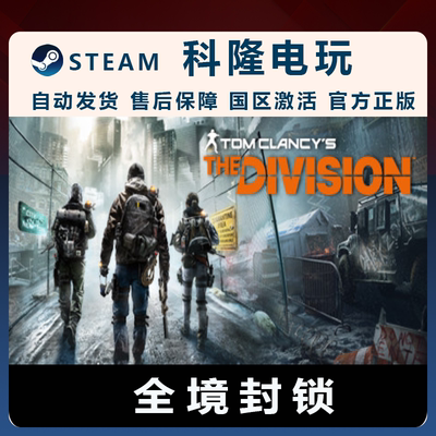 Steam全境封锁 Tom Clancy's The Division™ 成品账号标准版账号