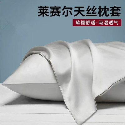 A类母婴100支天丝枕套莱赛尔纤维纯色枕头套一对学生宿舍枕芯套