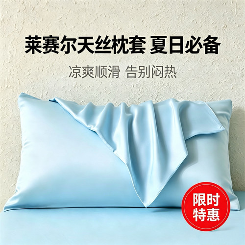A类100支天丝枕套一对装夏季冰丝枕头套单人纯色枕芯套48cm×74cm