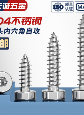304不锈钢薄头内六角自攻螺丝圆柱头杯头矮头扁头木螺钉螺栓M2-M8