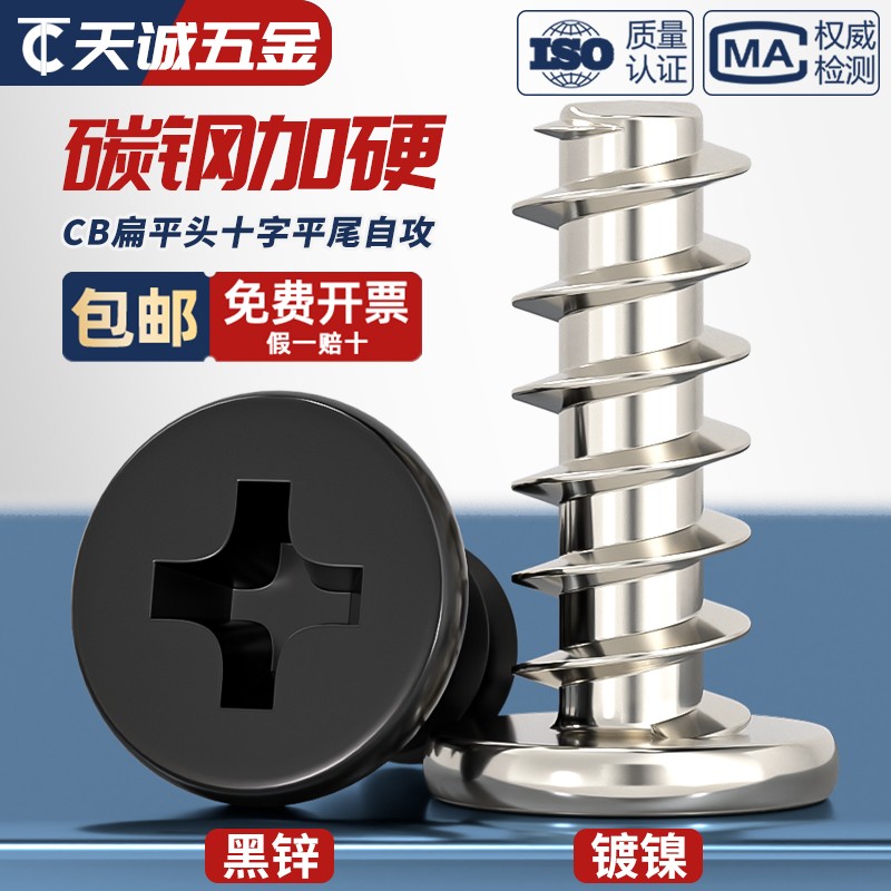 【全网热销】扁平头平尾自攻钉