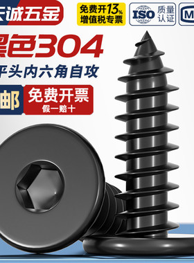 黑色304不锈钢扁平头内六角自攻螺丝大平头超薄头螺钉圆头自攻钉