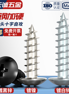 镀黑锌蓝锌碳钢镀镍十字大扁头自攻螺丝白锌伞头自攻钉M2M3M4M5M6