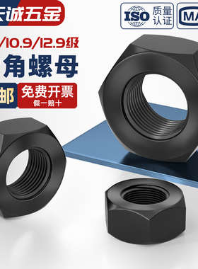 高强度六角螺母 8级10级12.9级螺丝帽 M6M8M10M12M16M20M24M27M30