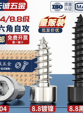 304不锈钢/8.8级加硬黑色/镀镍内六角自攻螺丝音箱喇叭自攻木螺钉
