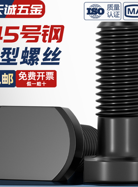 45#钢T型螺丝冲床铣床螺杆t形螺栓模具压板螺丝M8M10M12M14M16M18