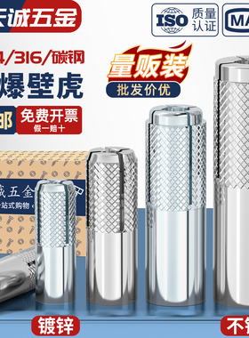 304/316不锈钢内膨胀螺丝膨胀螺栓顶爆内爆壁虎平爆M6M8M10M12M16