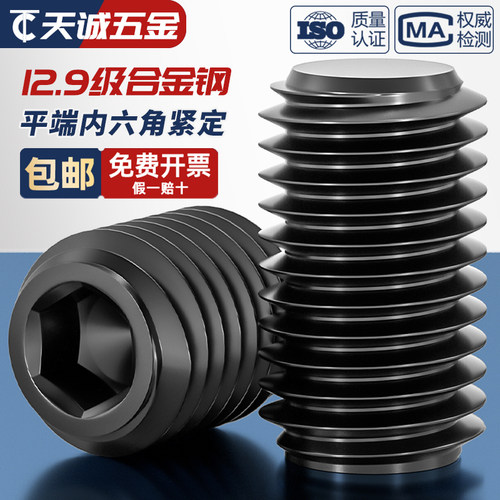 【全网热销】12.9级平端紧定螺丝