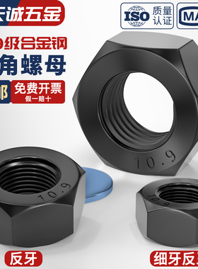 10.9级反牙细牙螺母细丝细扣六角螺母m10*1m12*1.5m16m20m24*2m27