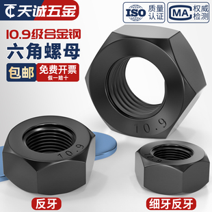 1.5m16m20m24 2m27 1m12 10.9级反牙细牙螺母细丝细扣六角螺母m10