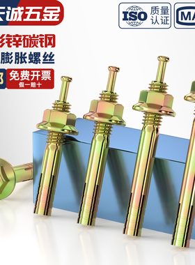 国标高强度膨胀螺栓击芯膨胀螺丝锤钉壁虎一钉得M6M8M10M12M16M20
