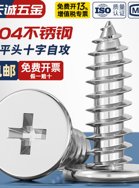304不锈钢CA扁平头自攻螺丝钉大薄头子平头尖尾十字木MM2M3M4M5M6